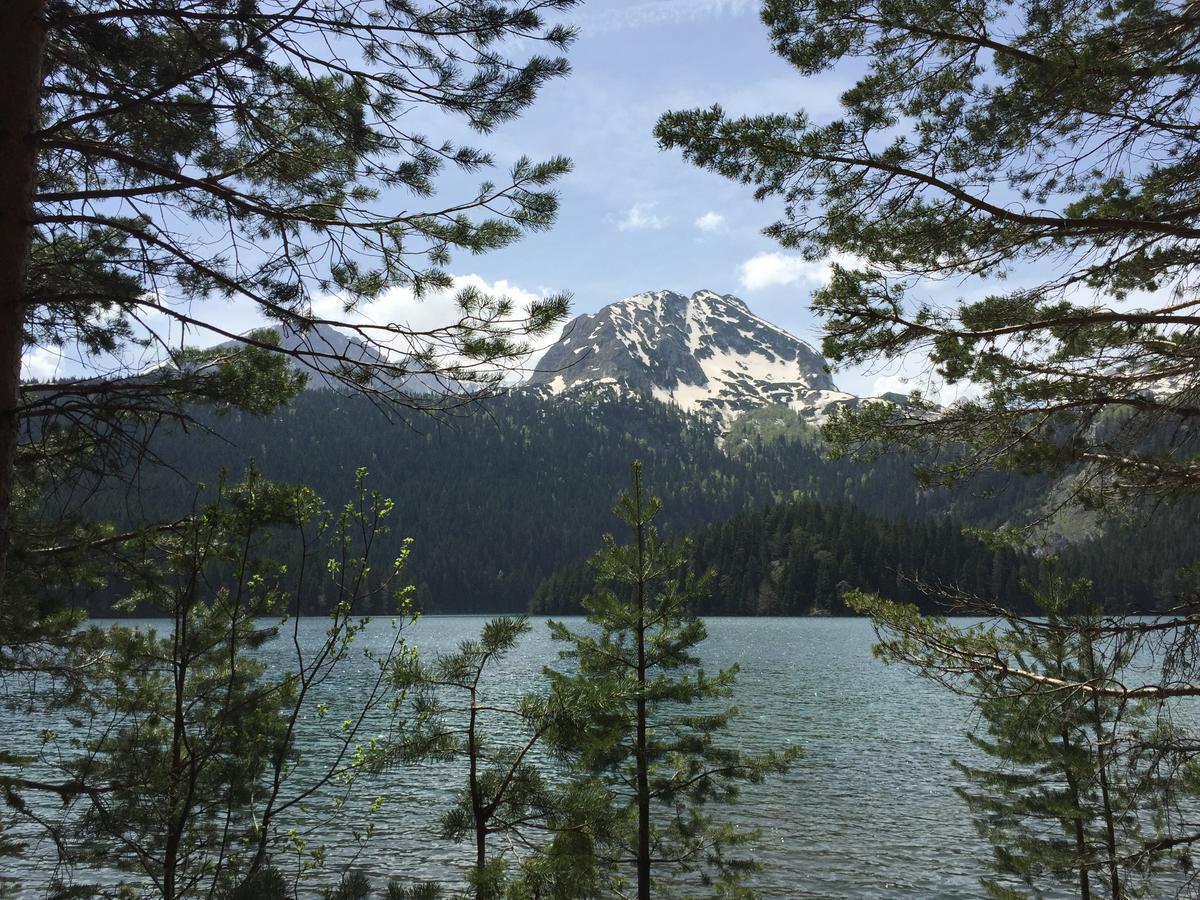 Villa Moutain View Žabljak Εξωτερικό φωτογραφία