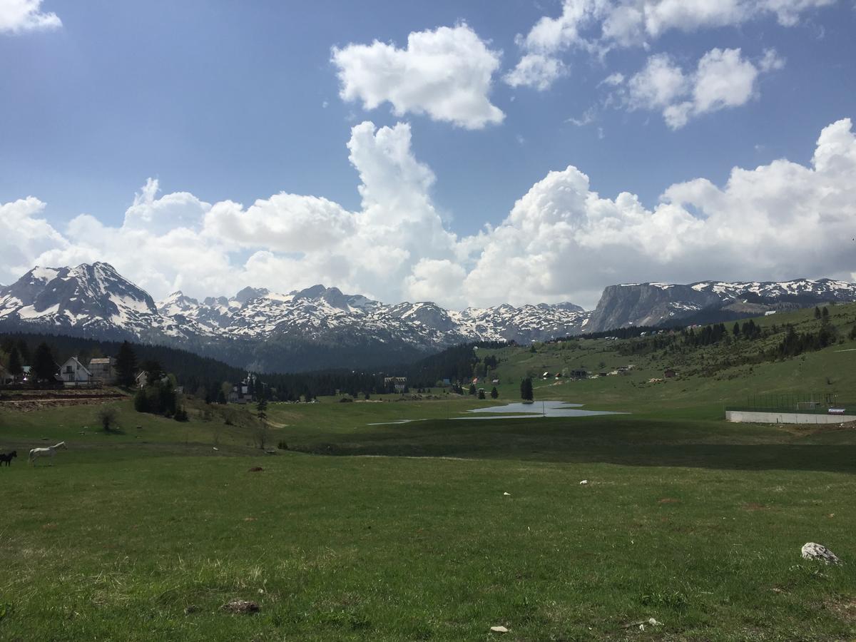 Villa Moutain View Žabljak Εξωτερικό φωτογραφία