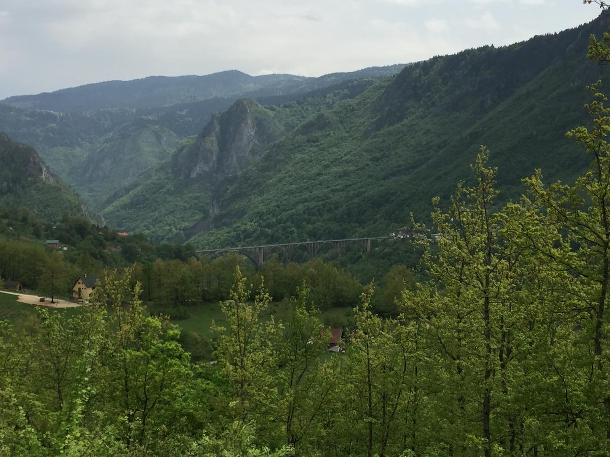 Villa Moutain View Žabljak Εξωτερικό φωτογραφία