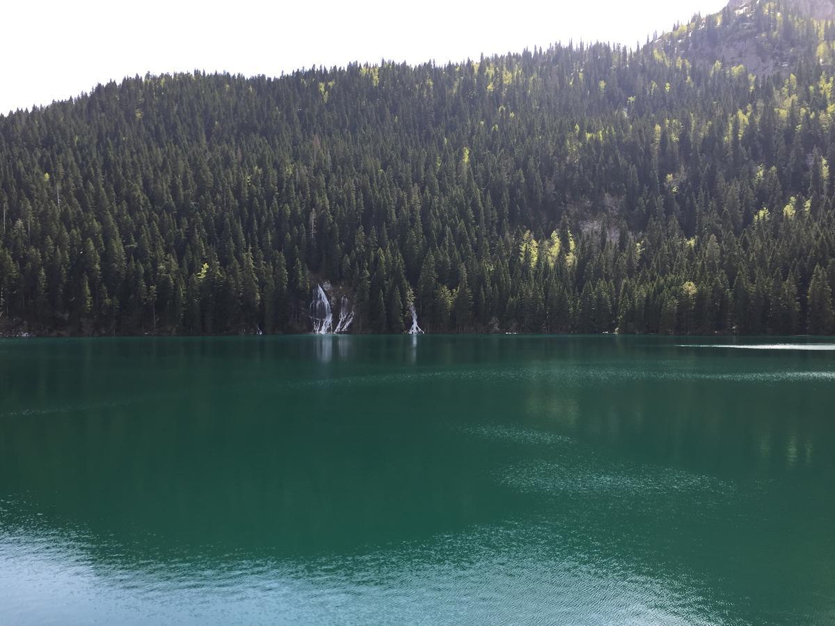 Villa Moutain View Žabljak Εξωτερικό φωτογραφία